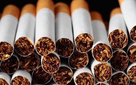 Bu ilin I rübündə Türkiyə Azərbaycana 8 milyon 135 min ABŞ dolları dəyərində tütün ixrac edib.